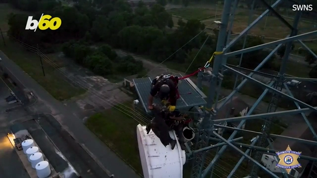 Bald Eagle Rescue Results in Happy Rehabbing Bird